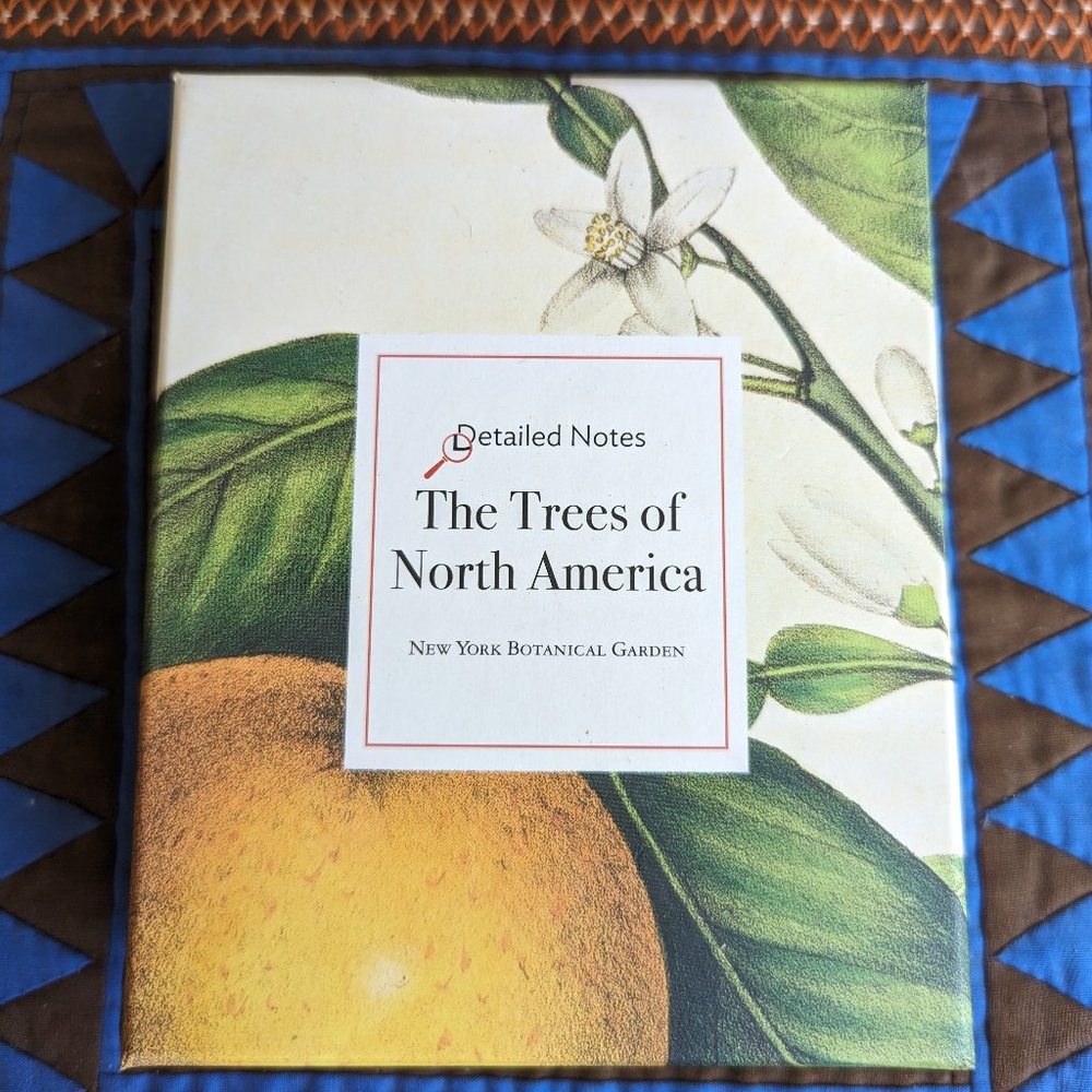 Blank Note Cards - Art Inspired - NY Botanical Garden